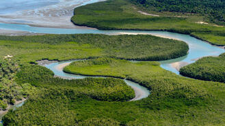 L'archipel des Bijagos, un paradis pour observer la faune et pour la pêche.